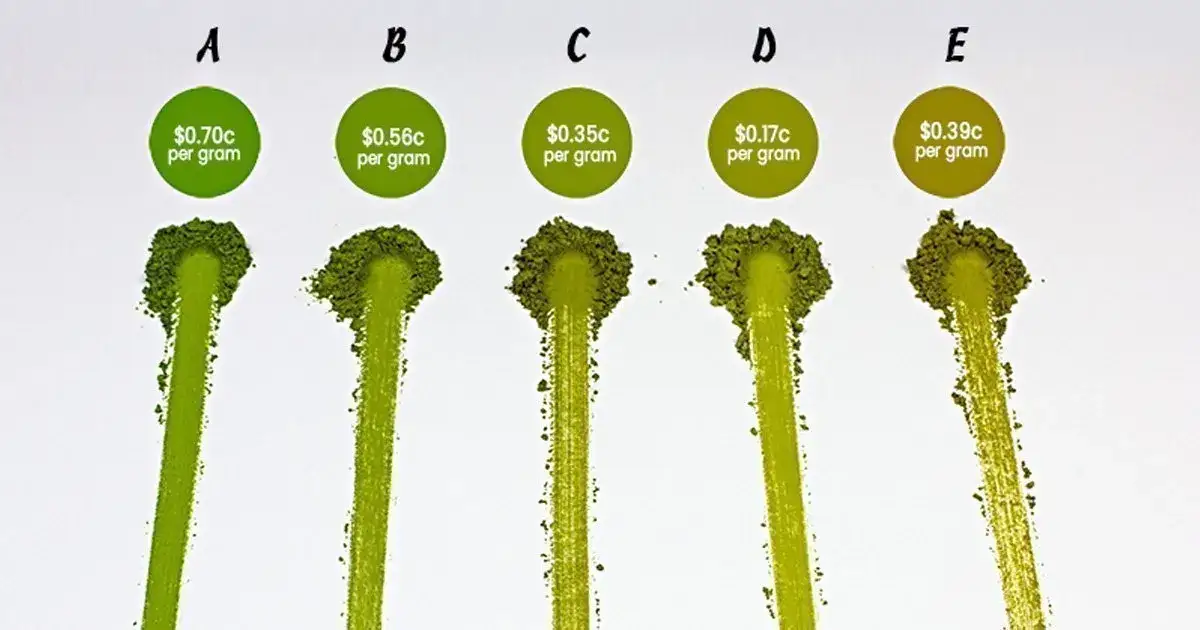 Different grades of matcha powder comparison