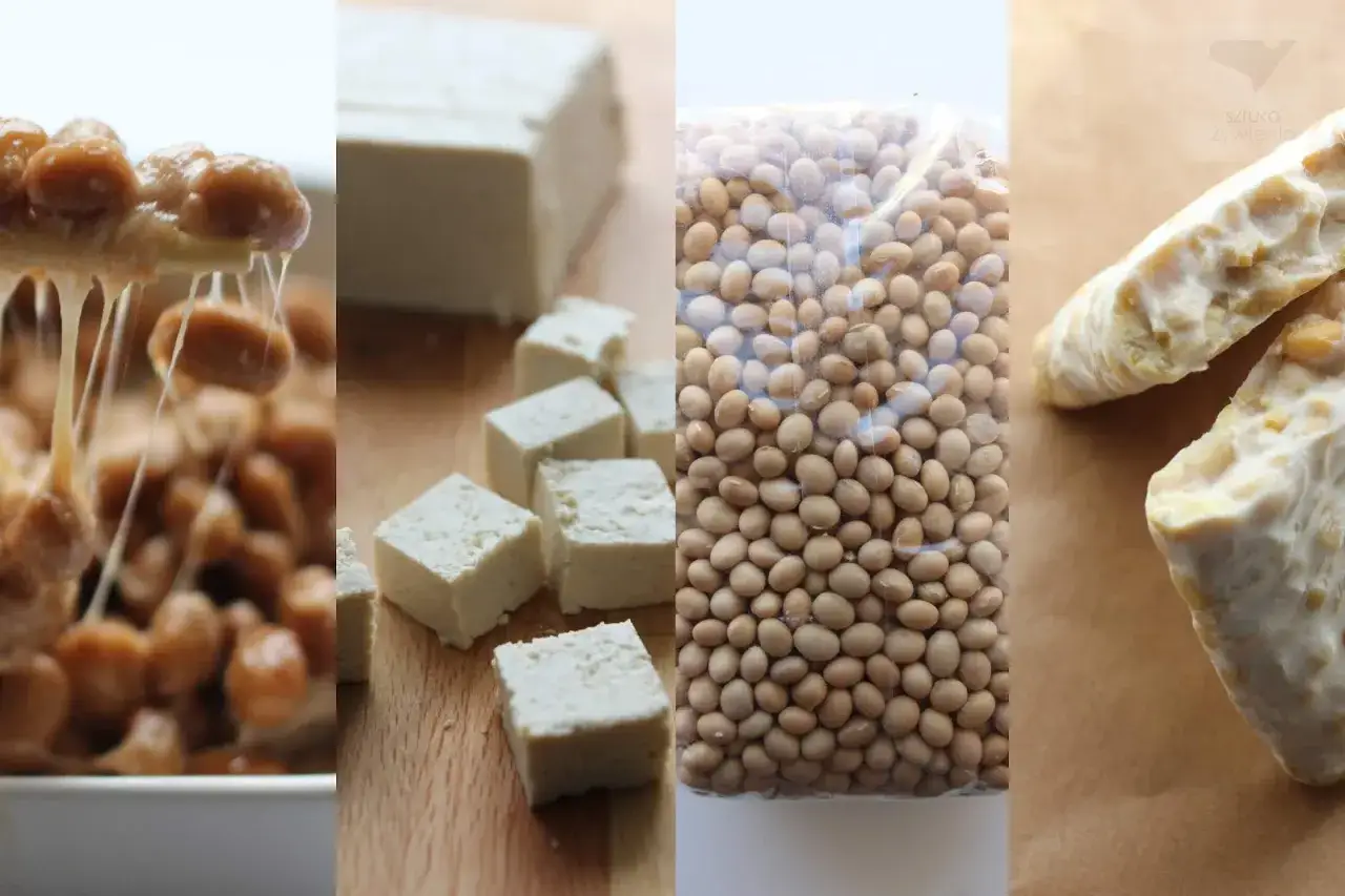 Natto, tofu, ziarna soi i tempeh – co to za produkty? Różne formy soi, od fermentowanej po blok.