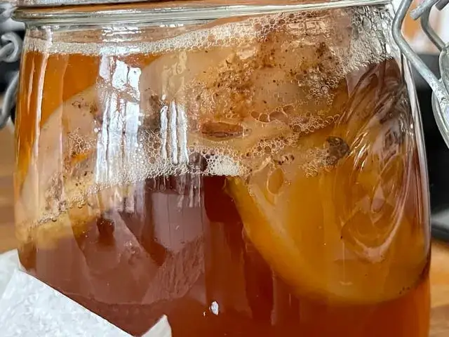 pleśń na scoby kombucha vs zdrowy scoby