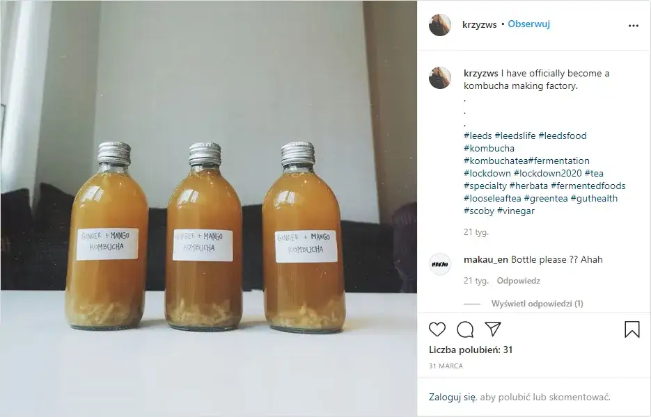 domowa produkcja kombuchy