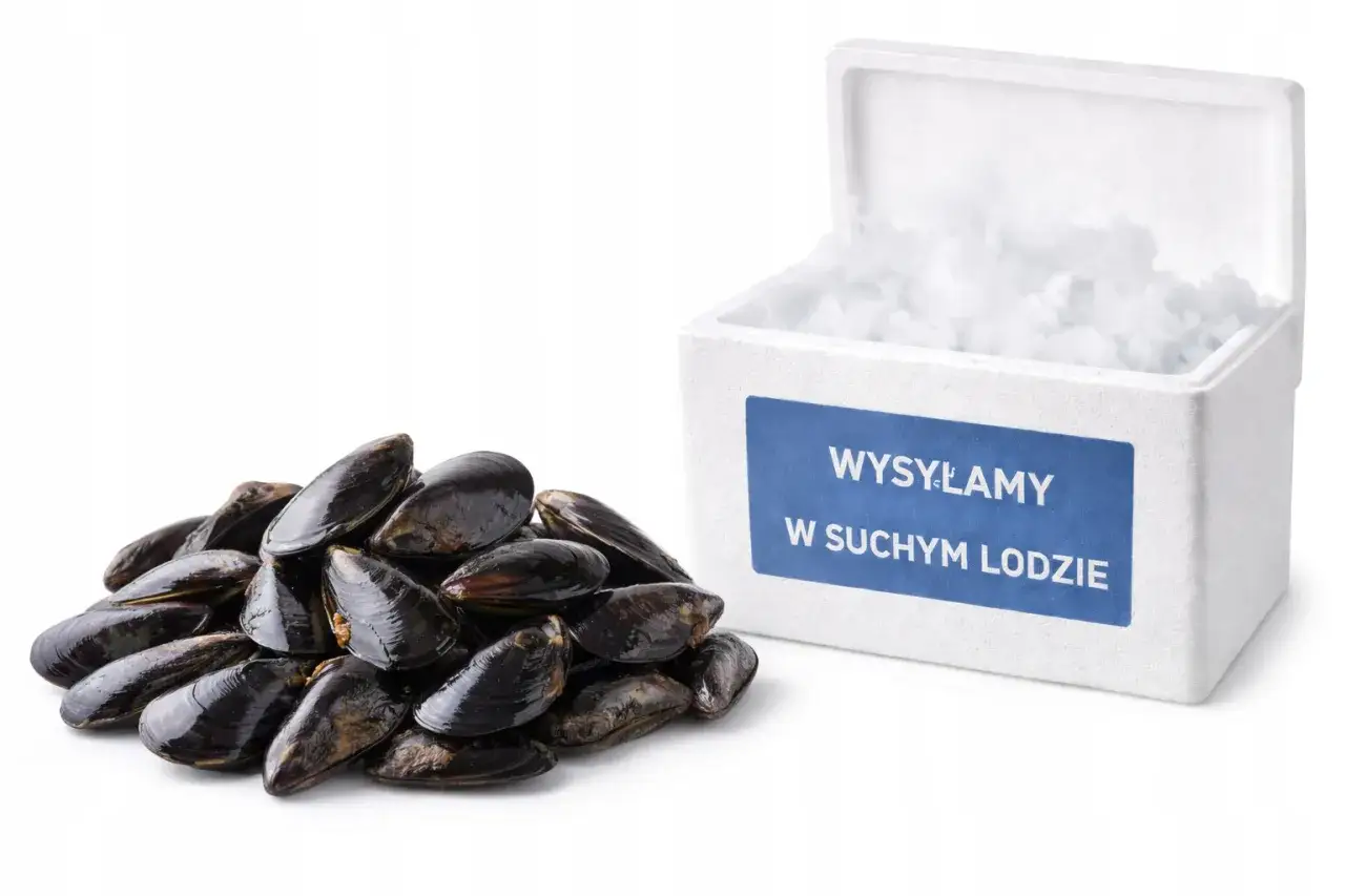 Świeże małże jadalne gotowe do wysyłki w suchym lodzie. Idealne na pyszny obiad.