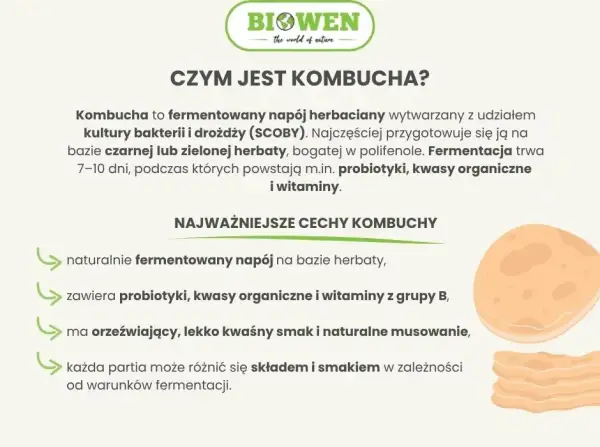 Kombucha: Ile może stać? Przechowywanie, świeżość i oznaki zepsucia