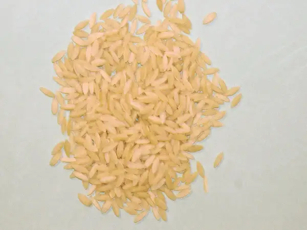 Kupa jasnego makaronu ryżowego orzo na jasnoszarym tle.