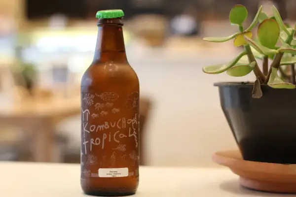 Szklana butelka z zieloną nakrętką, etykietą "Kombucha Tropical" i rośliną w doniczce.