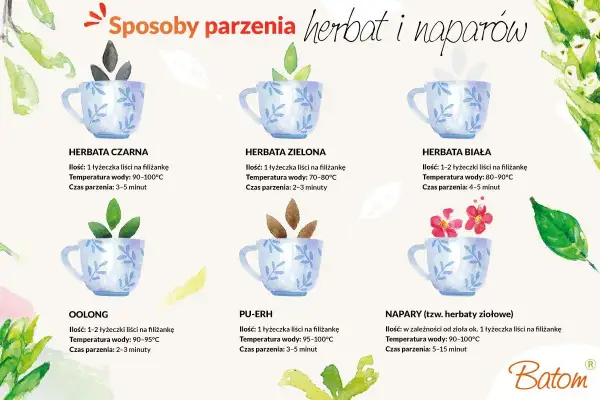 Ilustracja pokazuje, jak parzyć zieloną herbatę: 1 łyżeczka liści na filiżankę, woda 70-80°C, 2-3 minuty.