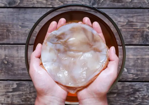 Kombucha: z czego powstaje? Składniki, które musisz znać!
